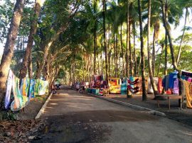 playa-dominical-in-costa-rica-town